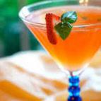 Cocktailmomenten van Meneer Cocktail en Juffrouw Cocktail